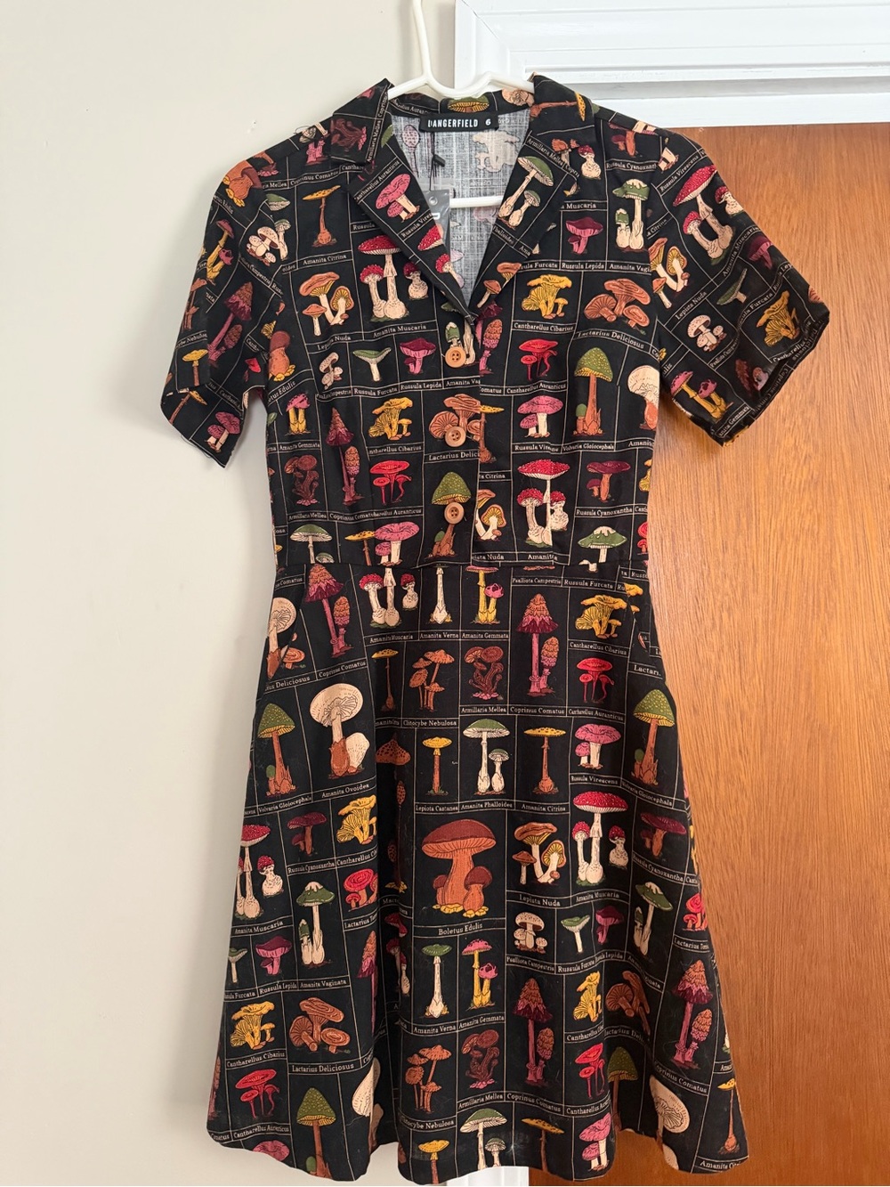 Dangerfield Black Mushroom Print Button-Up dress